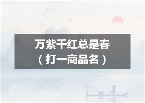 万紫千红总是春（打一商品名）