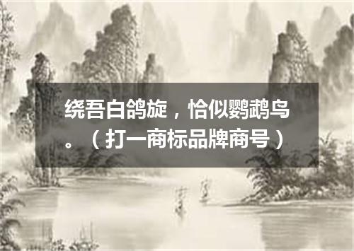 绕吾白鸽旋，恰似鹦鹉鸟。（打一商标品牌商号）