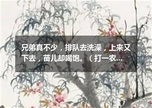 兄弟真不少，排队去洗澡，上来又下去，苗儿却喝饱。（打一农机具）