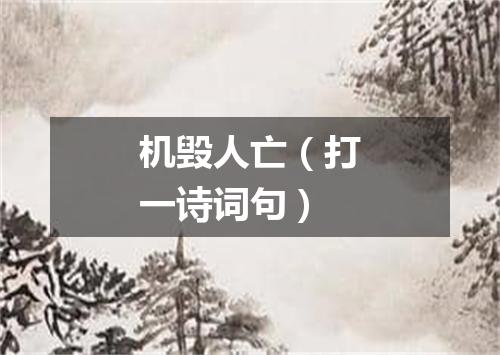 机毁人亡（打一诗词句）