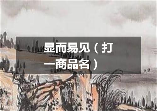 显而易见（打一商品名）