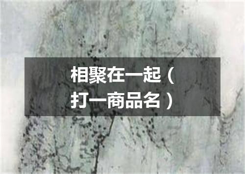 相聚在一起（打一商品名）