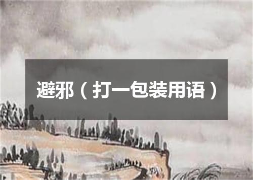 避邪（打一包装用语）