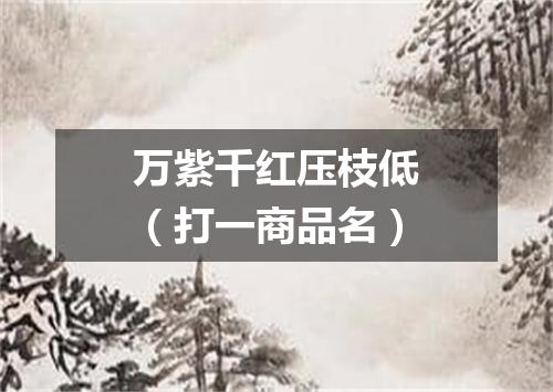 万紫千红压枝低（打一商品名）