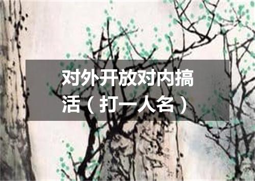 对外开放对内搞活（打一人名）