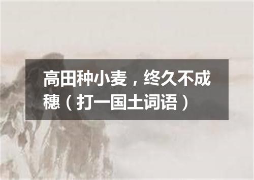 高田种小麦，终久不成穗（打一国土词语）