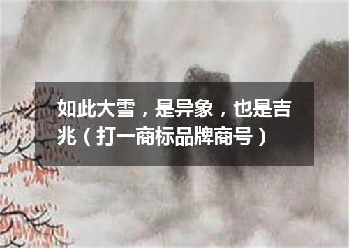 如此大雪，是异象，也是吉兆（打一商标品牌商号）
