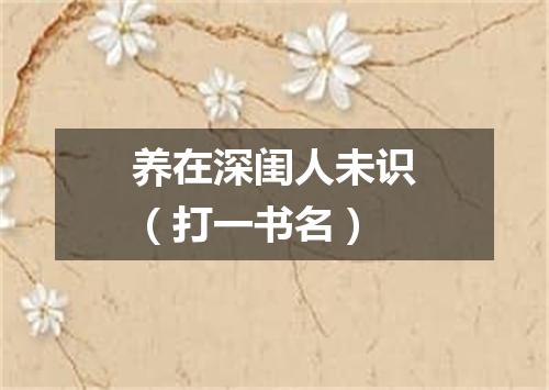 养在深闺人未识（打一书名）
