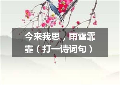 今来我思，雨雪霏霏（打一诗词句）