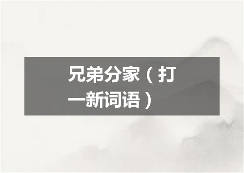 兄弟分家（打一新词语）