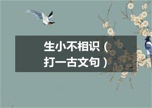生小不相识（打一古文句）