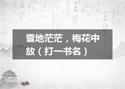 雪地茫茫，梅花中放（打一书名）