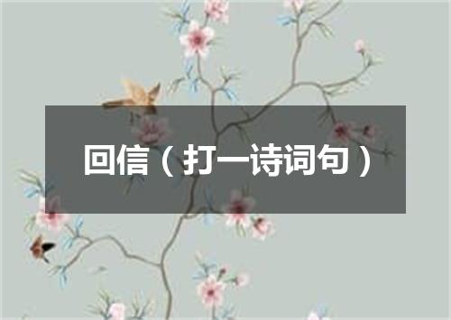 回信（打一诗词句）