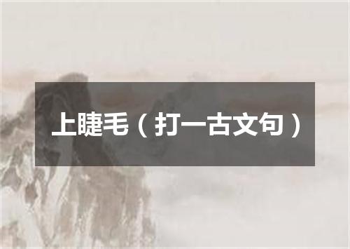 上睫毛（打一古文句）