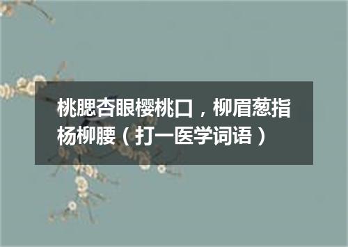 桃腮杏眼樱桃口，柳眉葱指杨柳腰（打一医学词语）
