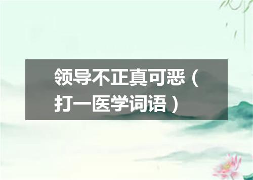 领导不正真可恶（打一医学词语）