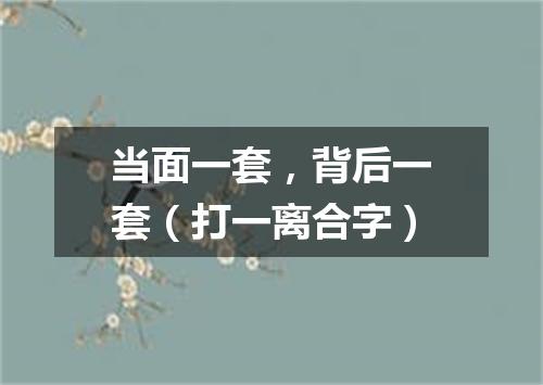 当面一套，背后一套（打一离合字）