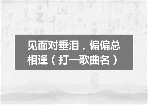 见面对垂泪，偏偏总相逢（打一歌曲名）
