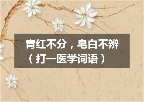青红不分，皂白不辨（打一医学词语）