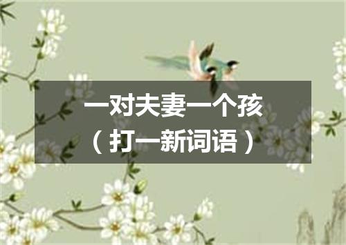 一对夫妻一个孩（打一新词语）