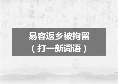 易容返乡被拘留（打一新词语）