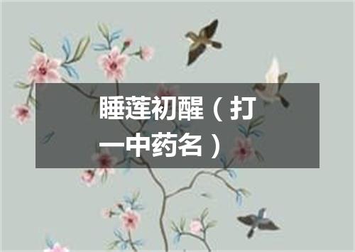 睡莲初醒（打一中药名）