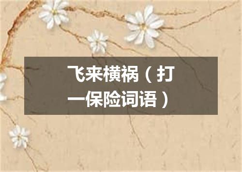 飞来横祸（打一保险词语）