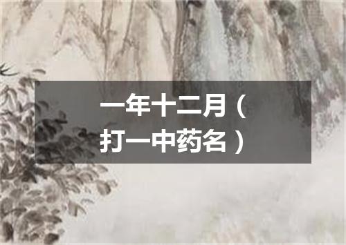 一年十二月（打一中药名）