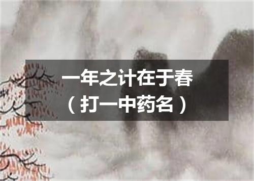 一年之计在于春（打一中药名）