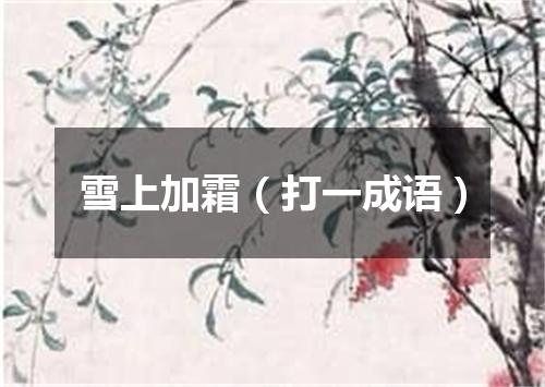雪上加霜（打一成语）