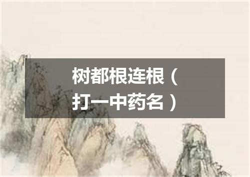树都根连根（打一中药名）