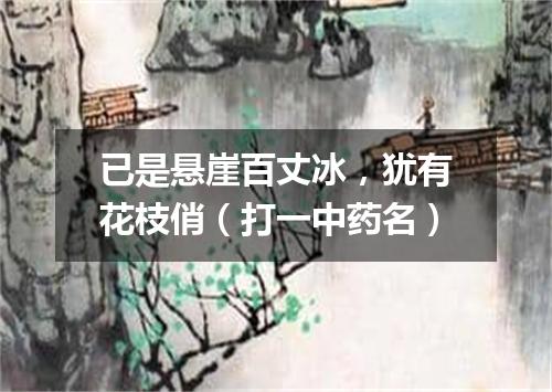 已是悬崖百丈冰，犹有花枝俏（打一中药名）