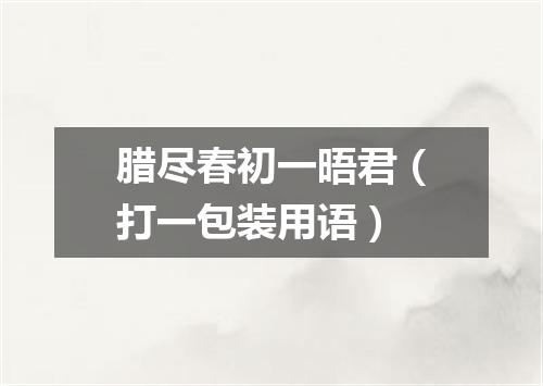 腊尽春初一晤君（打一包装用语）