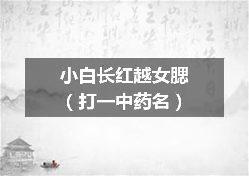 小白长红越女腮（打一中药名）
