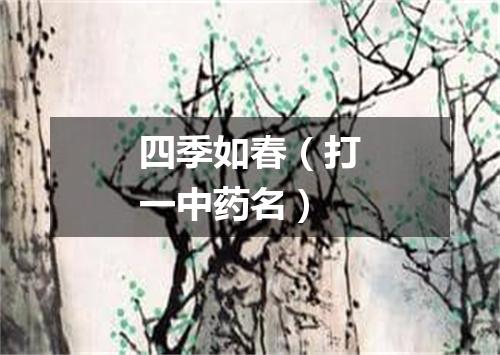 四季如春（打一中药名）