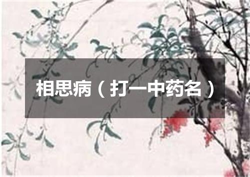 相思病（打一中药名）