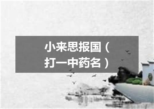 小来思报国（打一中药名）