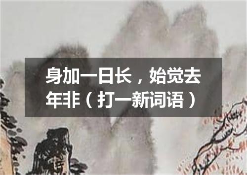 身加一日长，始觉去年非（打一新词语）