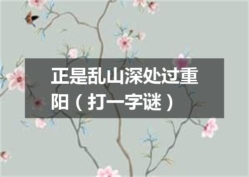 正是乱山深处过重阳（打一字谜）