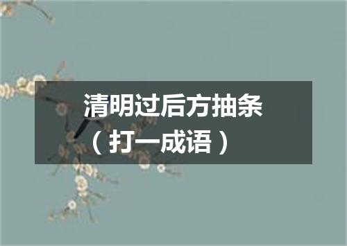 清明过后方抽条（打一成语）