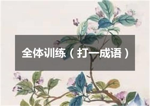 全体训练（打一成语）