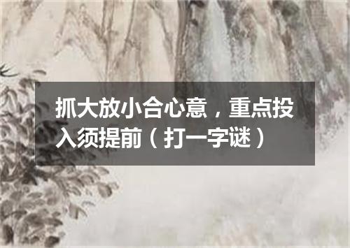 抓大放小合心意，重点投入须提前（打一字谜）