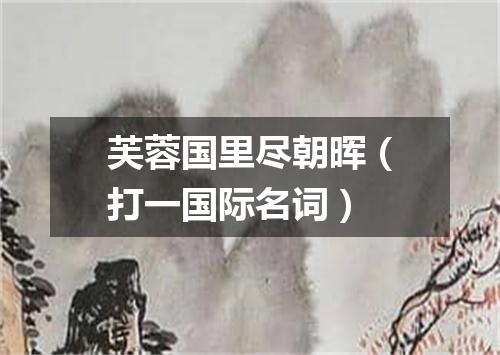 芙蓉国里尽朝晖（打一国际名词）