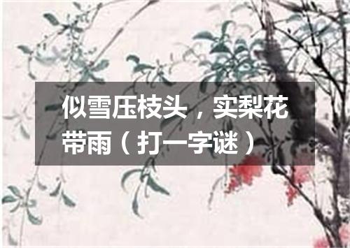 似雪压枝头，实梨花带雨（打一字谜）