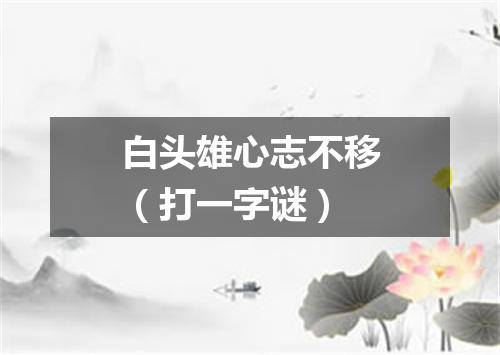 白头雄心志不移（打一字谜）