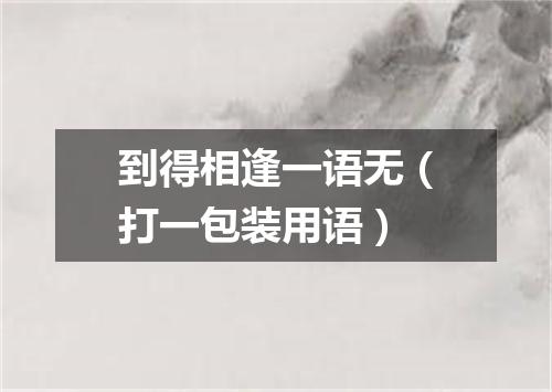 到得相逢一语无（打一包装用语）