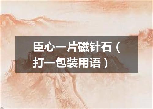 臣心一片磁针石（打一包装用语）