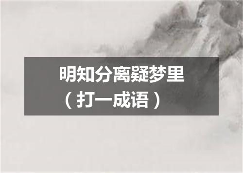 明知分离疑梦里（打一成语）