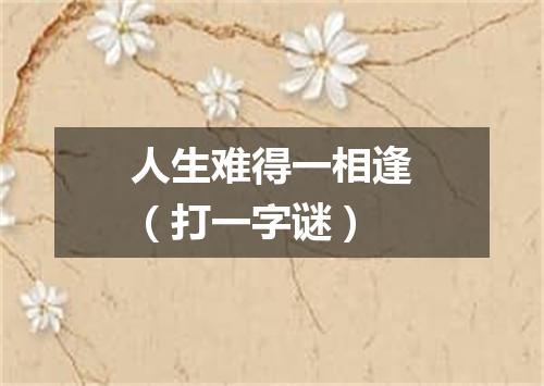 人生难得一相逢（打一字谜）