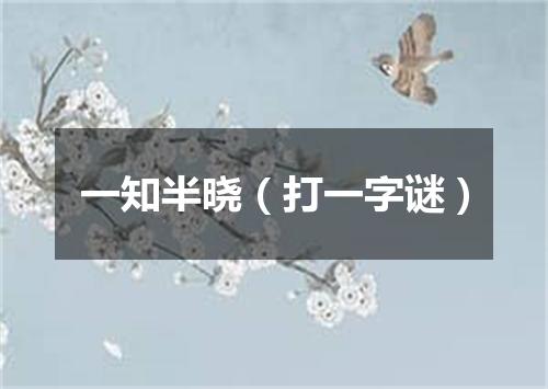 一知半晓（打一字谜）